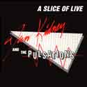 Dan Kidney and the Pulsations-Slice of Live